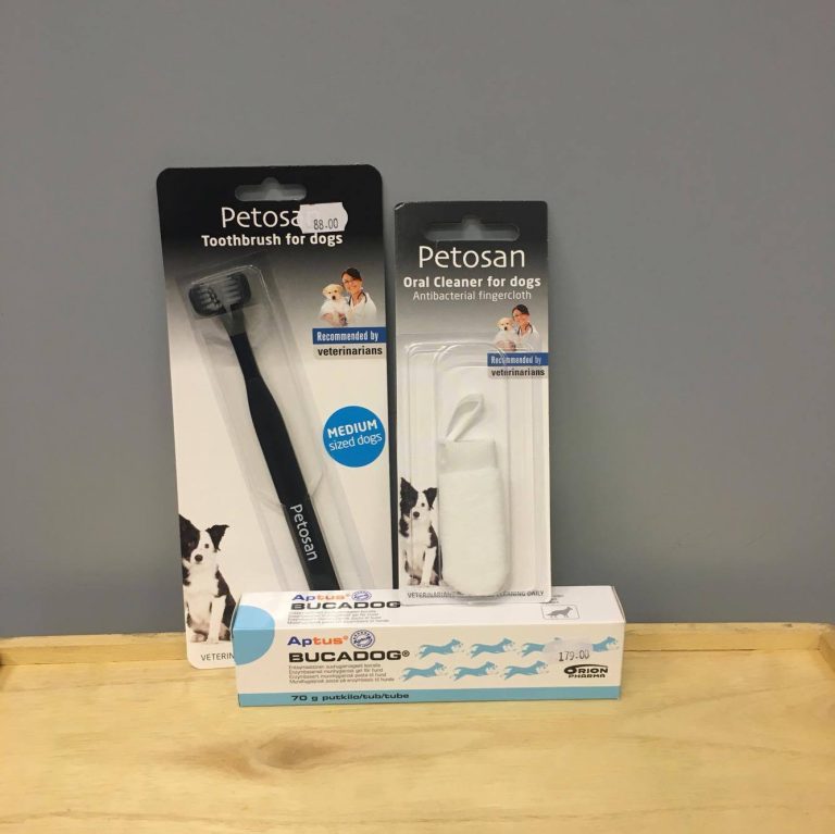 462430071_2520181198180254_5759148969412754312_n